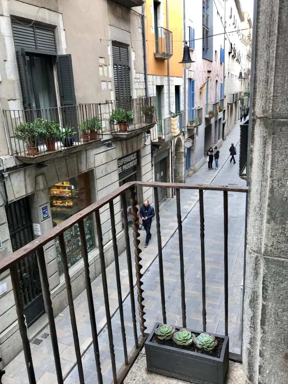 Apg Palau Salieti 1 Apartman Girona Kültér fotó
